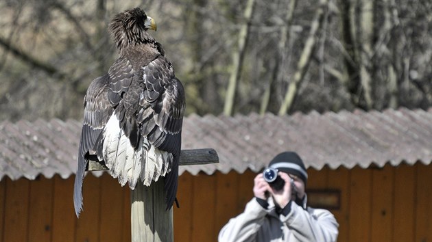 Pta den v jihlavsk zoo.