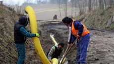 Obnova nepoužívané železniční trati do Německa, uzavřené od dob železné opony.... Obnova nepoužívané železniční trati do Německa, uzavřené od dob železné opony....