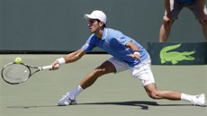 Novak Djokovi ve finále turnaje v Miami.