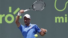Novak Djokovi ve finále turnaje v Miami.