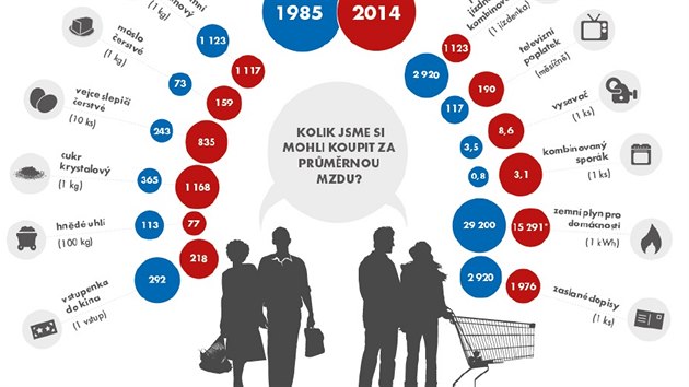 Kolik jsme si mohli koupit v roce 1985 a dnes.