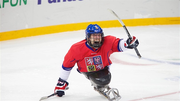 Zdeněk Krupička, jedna z opor sledge hokejové reprezentace Zdeněk Krupička, jedna z opor sledge hokejové reprezentace
