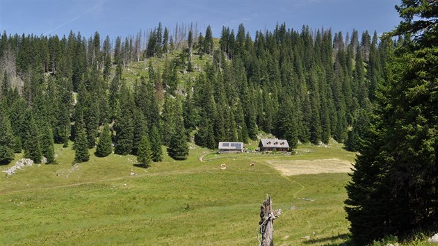 Sengsengebirge, planina u chaty Feichtatte