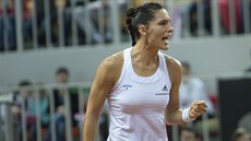 Andrea Petkovicová v semifinále Fed Cupu.