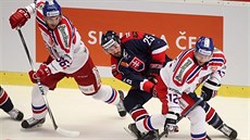eský hokejista Jií Novotný (vpravo) v souboji s Markem Viedenským z týmu...