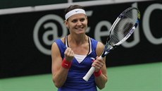 Lucie afáová slaví první bod v semifinále Fed Cupu proti Francii.