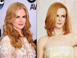 Hereka Nicole Kidmanová mla u snad vechny délky vlas a vechny odstíny...