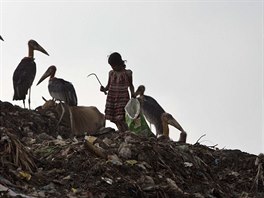 Malá Indka na skládce poblí msta Gauhátí pátrá po recyklovatelných...