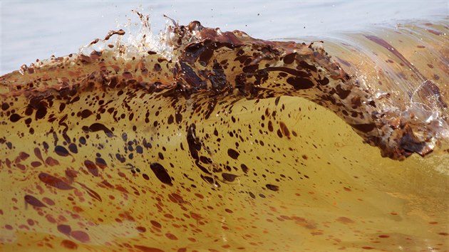 Havrie ropn ploiny Deepwater Horizon spolenosti BP v Mexickm zlivu vyvrhla do Mexickho zlivu 780 milion litr ropy (kvten 2010)