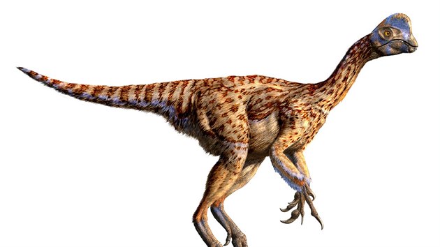 Vtina z dosud nalezench vajec patila druhu oviraptor.