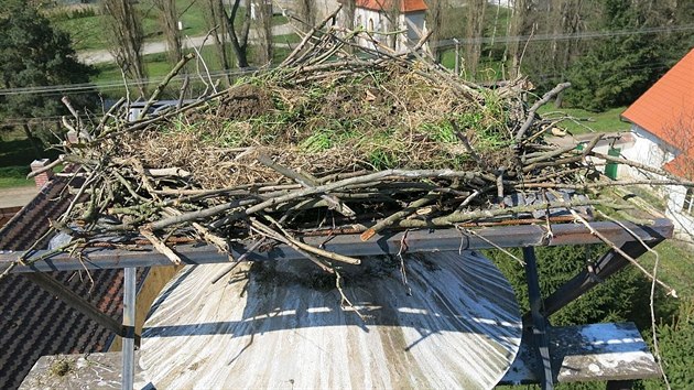 Pracovnci zchrann stanice spolu s hasii zhotovili konstrukci, na kterou rozestavn ap hnzdo pemstili.