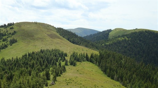 Horsk idylka: na hebeni Gleinalpe se stdaj louky s dkmi stromovmi porosty.