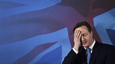 Britský premiér David Cameron při projevu v Londýně. (26. dubna 2015) Britský premiér David Cameron při projevu v Londýně. (26. dubna 2015)