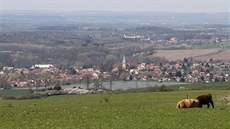 Hráz rybníka v Ronově nad Doubravou čeká oprava. Hráz rybníka v Ronově nad Doubravou čeká oprava.