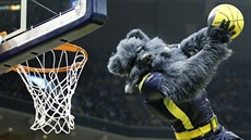 GRIZZ V AKCI. Maskot basketbalist Memphisu ádí bhem zápasu play-off s...