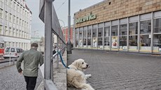 Panelové nákupní centrum Bezovka Panelové nákupní centrum Bezovka