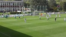 Česká fotbalová liga Česká fotbalová liga