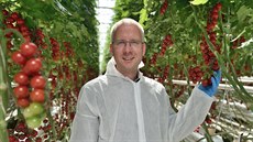 Hlavním trhem je Slovensko, ale okrajově rajčata z místního skleníku putují i... Hlavním trhem je Slovensko, ale okrajově rajčata z místního skleníku putují i...