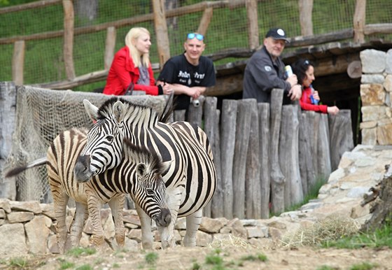 Jihlavskou zoologickou zahradu letos navtíví více ne 300 tisíc návtvník. Stane se tak poprvé v její historii.