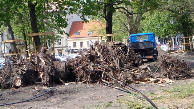 Nkter stromy na Karlnskm nmst padly pi pravch parku k zemi.