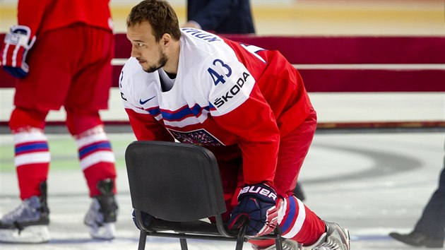 Jan Kov pi fotografovn eskch hokejist v djiti MS.