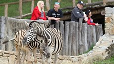 Zoologická zahrada v Jihlav.