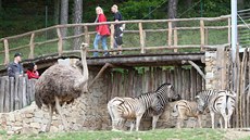 Zoologická zahrada v Jihlav.