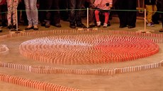 V Trutnově vzniklo rekordně velké domino (7.5.2015). V Trutnově vzniklo rekordně velké domino (7.5.2015).