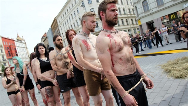 Aktivist v Brn protestovali proti zuboovn zvat.