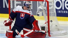 éf slovenského svazu Igor Nemeek ásten ustoupil rebelujícím hokejistm.