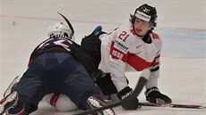 Čechošvýcar Kevin Fiala (v bílém) a Trevor Lewis skončili na ledě. Čechošvýcar Kevin Fiala (v bílém) a Trevor Lewis skončili na ledě.