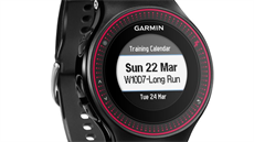 Garmin Forerunner 225 Garmin Forerunner 225
