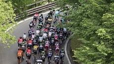 Cyklistický peloton v páté etap Gira d´Italia.