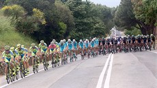 Momentka z Gira d´Italia. V ele pelotonu stáj Tinkoff-Saxo.