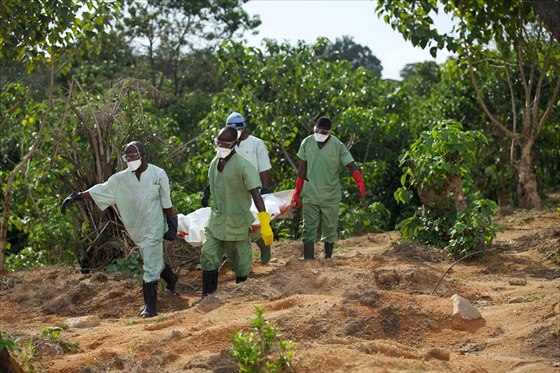 Poheb tla lovka zemelého na ebolu v Guinei (íjen 2014)