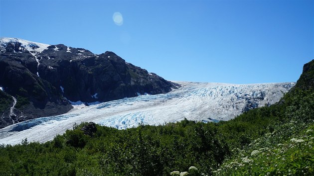 Turisty oblben Exit Glacier u Sewardu