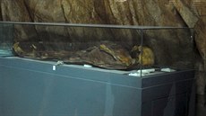 Mumie v muzeu v Palmýe (snímek z roku 2008).