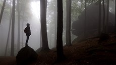 Jizerskohorské bukové lesy mají šanci na zápis do UNESCO. Pokud se to podaří, bude to první přírodní lokalita v Česku uvedená na prestižním seznamu světového dědictví. Ilustrační snímek Jizerskohorské bukové lesy mají šanci na zápis do UNESCO. Pokud se to podaří, bude to první přírodní lokalita v Česku uvedená na prestižním seznamu světového dědictví. Ilustrační snímek