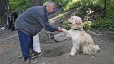 Bezdomovci chovají spoustu ps, ale jen výjimen myslí napíklad na jejich...