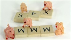 Internetový dotazník vědců z Přírodovědecké fakulty má nahlédnout do podoby... Internetový dotazník vědců z Přírodovědecké fakulty má nahlédnout do podoby...
