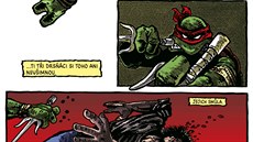 elvy Ninja (z komiksu)