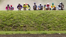 Momentka z kvalifikace na Velkou pardubickou Momentka z kvalifikace na Velkou pardubickou