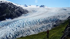 Exit Glacier