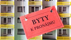 pronájem pronájem