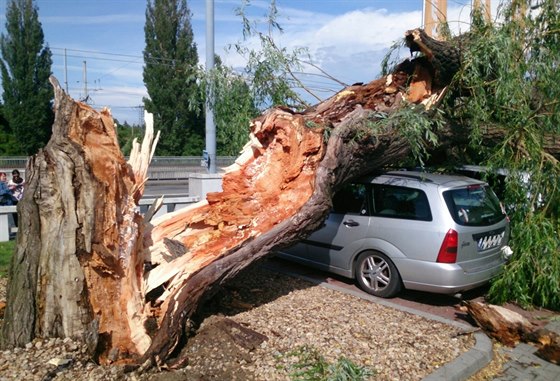 Hasii likvidovali vzrostlý strom, který spadl na est aut v Brn-Bystrci....