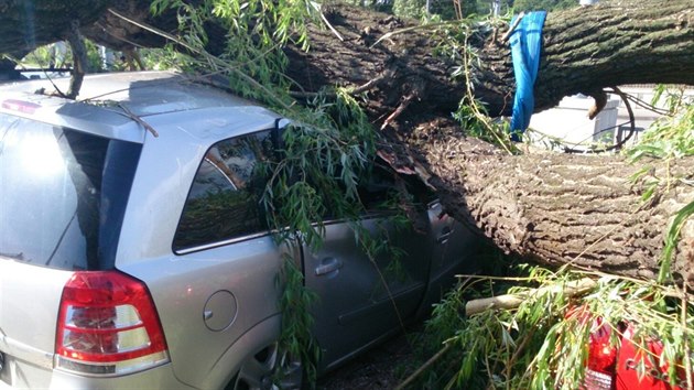 Hasii likvidovali vzrostl strom, kter spadl na est aut v Brn-Bystrci. (30.5.2015)