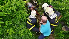 Hasii vyproují klisnu, která pi pecházení kovové lávky v...