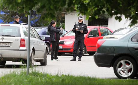 Stráníci mstské policie nejastji eí pestupky v doprav. (Ilustraní snímek)