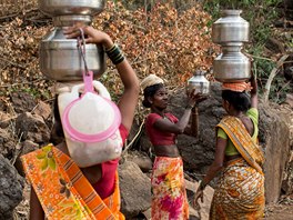 Lidé v Indii asto musí ke studnám pro trochu vody ujít mnoho kilometr (Duben...