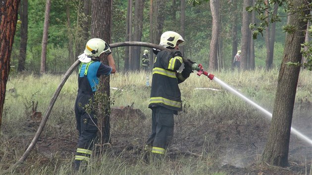 Hasii nkolik hodin likvidovali por lesnho porostu u Bentek nad Jizerou (3.6.2015)